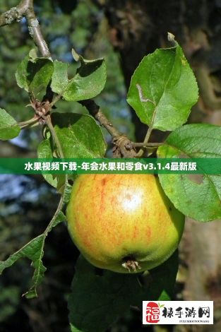 水果视频下载-年会水果和零食v3.1.4最新版